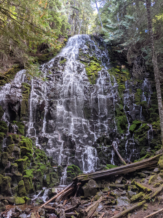 The Dynamite Collective Fall Conference